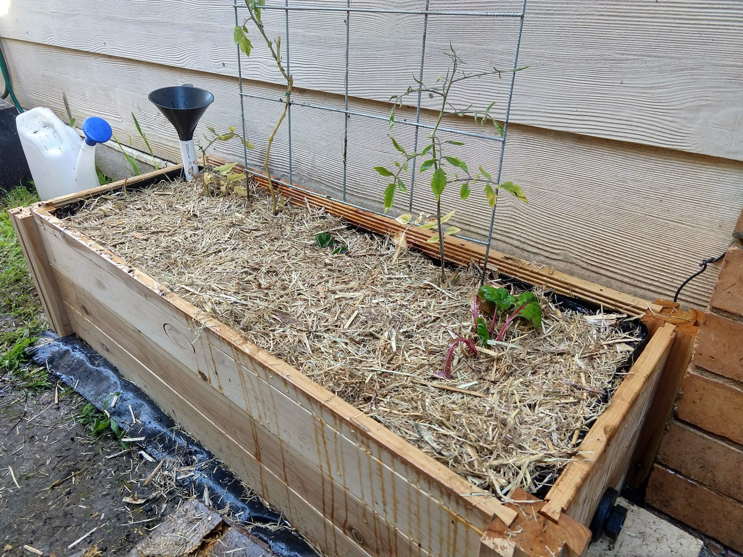 Building a Better Wicking Bed