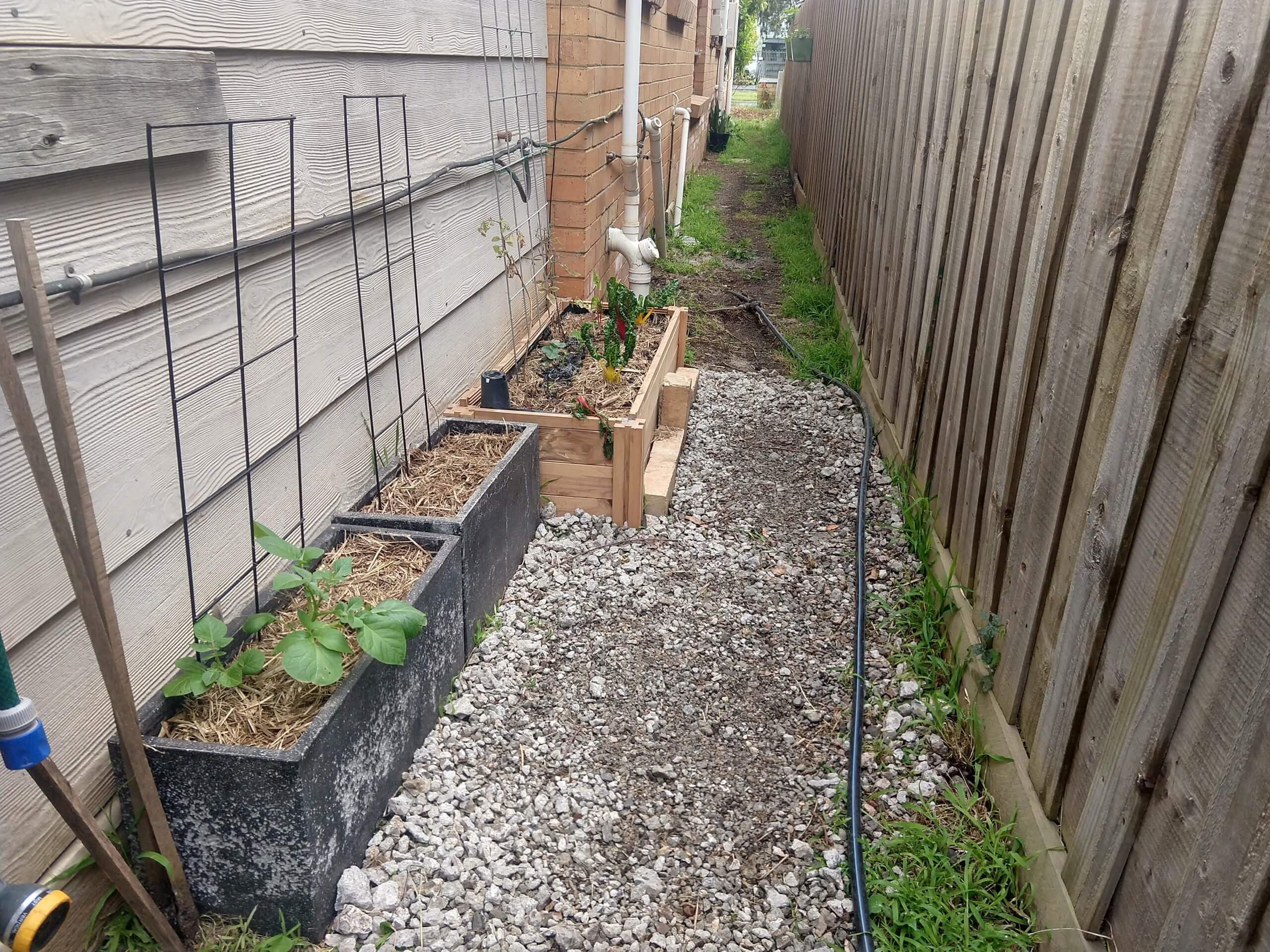 Three garden beds against the side of a house by a gravel path